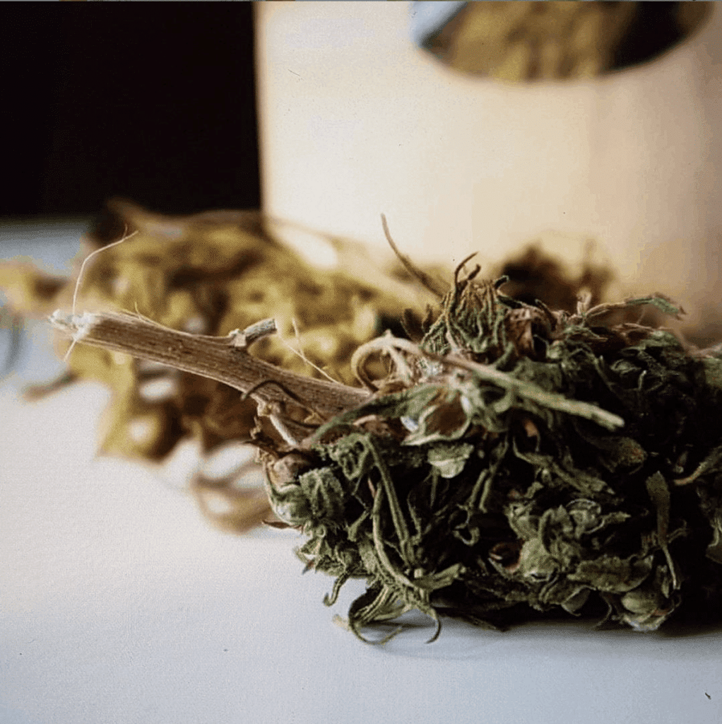 CBD Hanftee: Eigenschaften und Vorteile