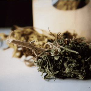 Tisanes de fleurs de chanvre
