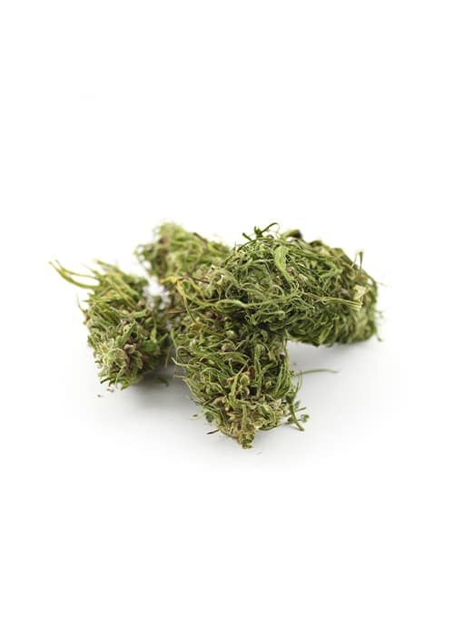 CBD Hanfblütentee